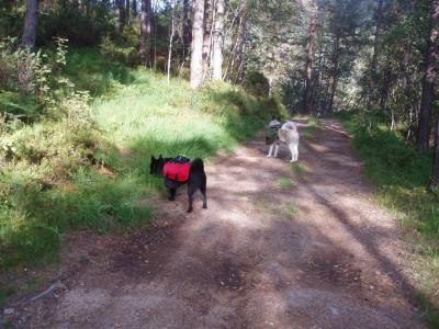 post-8832-0-00423900-1377957118_thumb.jp