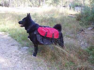 post-8832-0-03175200-1377957095_thumb.jp