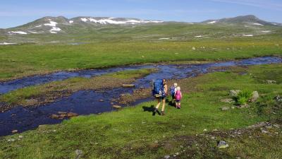 post-10401-0-57128900-1407271914_thumb.j