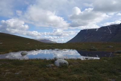 post-10468-0-41653900-1409343653_thumb.j