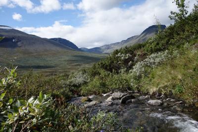 post-10468-0-89640200-1409343594_thumb.j