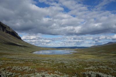 post-10468-0-98331700-1409343692_thumb.j