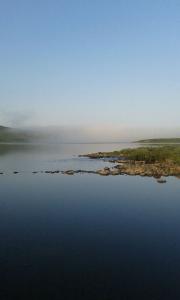 post-11119-0-31014100-1407583652_thumb.j