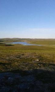 post-11119-0-44099500-1407583561_thumb.j