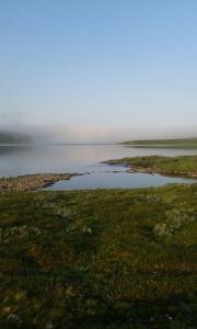 post-11119-0-52641100-1407583638_thumb.j