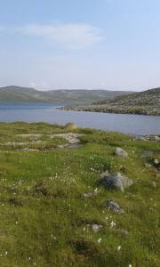 post-11119-0-60766900-1407583622_thumb.j