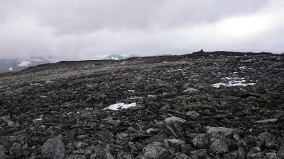 post-12082-0-20146700-1409437504_thumb.j