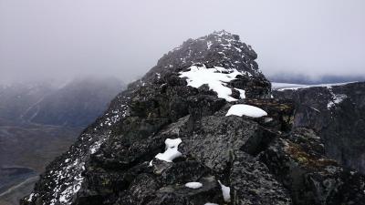 post-12082-0-22738700-1409437492_thumb.j