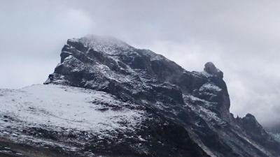 post-12082-0-35994900-1409436992_thumb.j