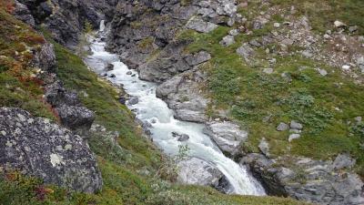 post-12082-0-37786500-1409437509_thumb.j