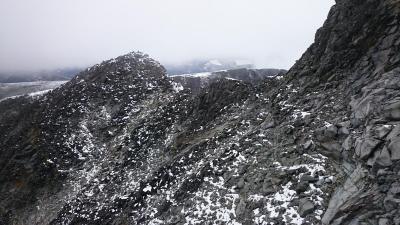 post-12082-0-51372700-1409437071_thumb.j