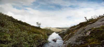 post-12278-0-26888000-1408385044_thumb.j