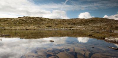 post-12278-0-28205600-1408384552_thumb.j