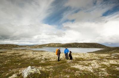 post-12278-0-44535200-1408380001_thumb.j