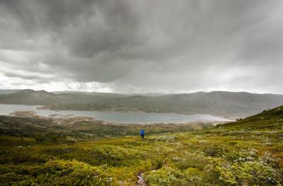 post-12278-0-54371400-1408381832_thumb.j