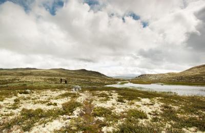 post-12278-0-63400400-1408380692_thumb.j