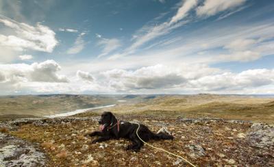 post-12278-0-64865300-1408384205_thumb.j