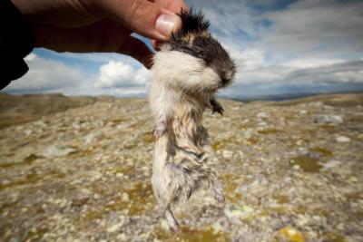 post-12278-0-89677600-1408384107_thumb.j