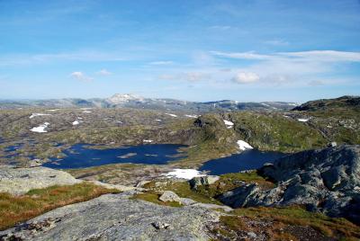 post-12580-0-26410300-1407760964_thumb.j