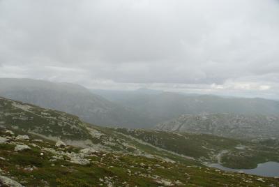 post-12580-0-56085900-1407150120_thumb.j