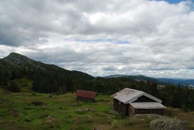 post-12580-0-63719400-1407149604_thumb.j