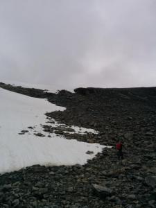 post-12740-0-20579300-1406897361_thumb.j