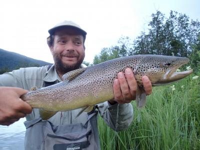 post-13206-0-02184800-1407099765_thumb.j