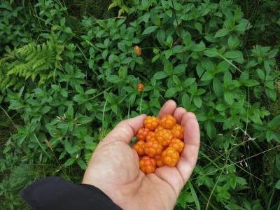 post-13206-0-22412600-1407088413_thumb.j