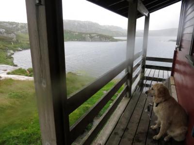 post-13206-0-30391800-1407089880_thumb.j