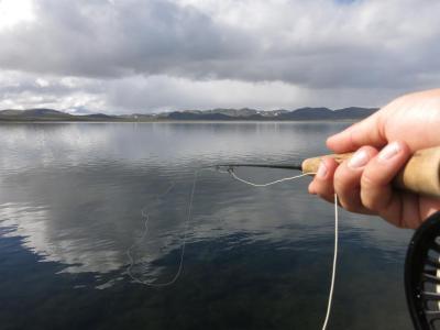 post-13206-0-45835700-1408897551_thumb.j