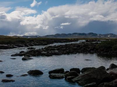 post-13206-0-46467800-1408898275_thumb.j