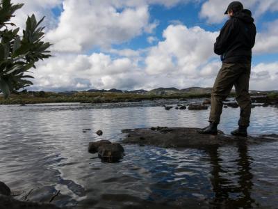 post-13206-0-55362400-1408898274_thumb.j