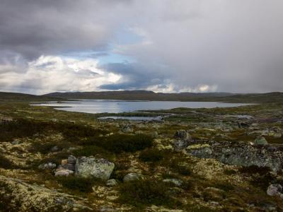 post-13206-0-56139300-1408898272_thumb.j