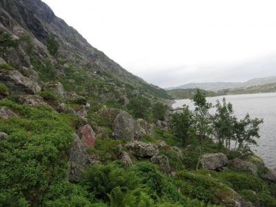 post-13206-0-70318000-1407088598_thumb.j