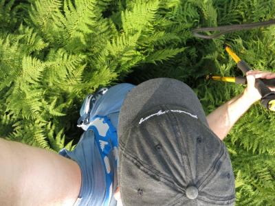 post-13206-0-94538000-1407088652_thumb.j