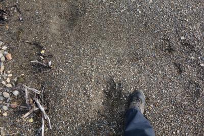 post-14504-0-73192800-1409318087_thumb.j