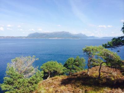 post-14505-0-04025000-1407613927_thumb.j