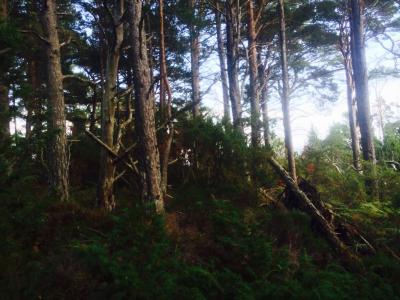 post-14505-0-46783400-1407613936_thumb.j