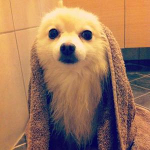 post-14675-0-16310300-1407070596_thumb.j