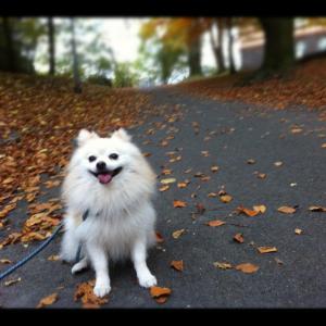 post-14675-0-32129700-1407070533_thumb.j