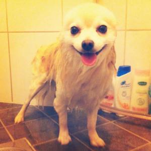 post-14675-0-83053800-1407070574_thumb.j