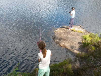 post-15049-0-71661100-1407565209_thumb.p