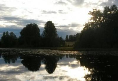 post-15049-0-87522100-1409334342_thumb.j