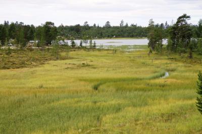 post-4016-0-05415300-1407004563_thumb.jp