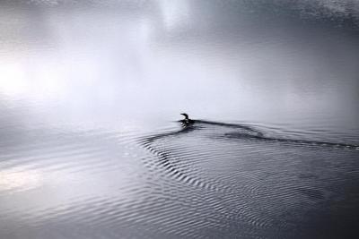 post-4016-0-21506400-1407004556_thumb.jp