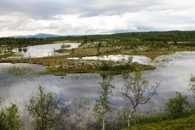 post-4016-0-23762500-1407004553_thumb.jp