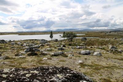 post-4016-0-60309500-1407004576_thumb.jp