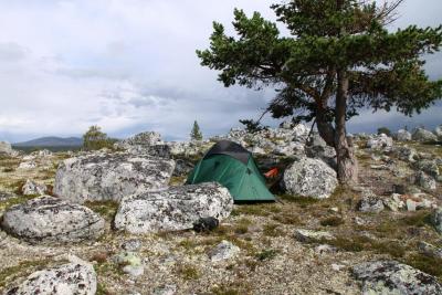 post-4016-0-75475200-1407004571_thumb.jp