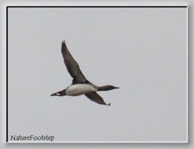 post-4220-0-28509000-1408708893_thumb.jp