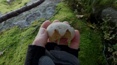 post-4220-0-30269100-1409128829_thumb.jp